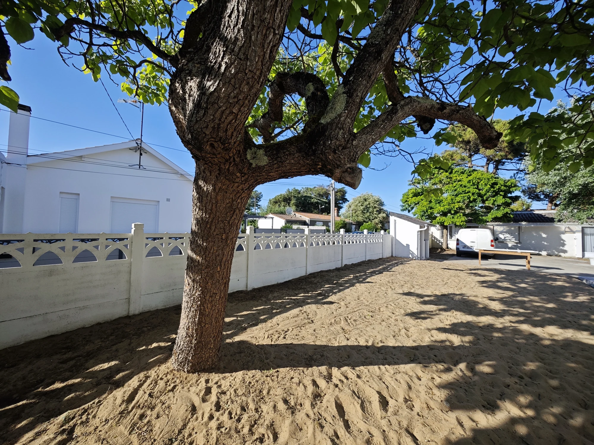 Cour du centre CGCV avec son grand arbre
