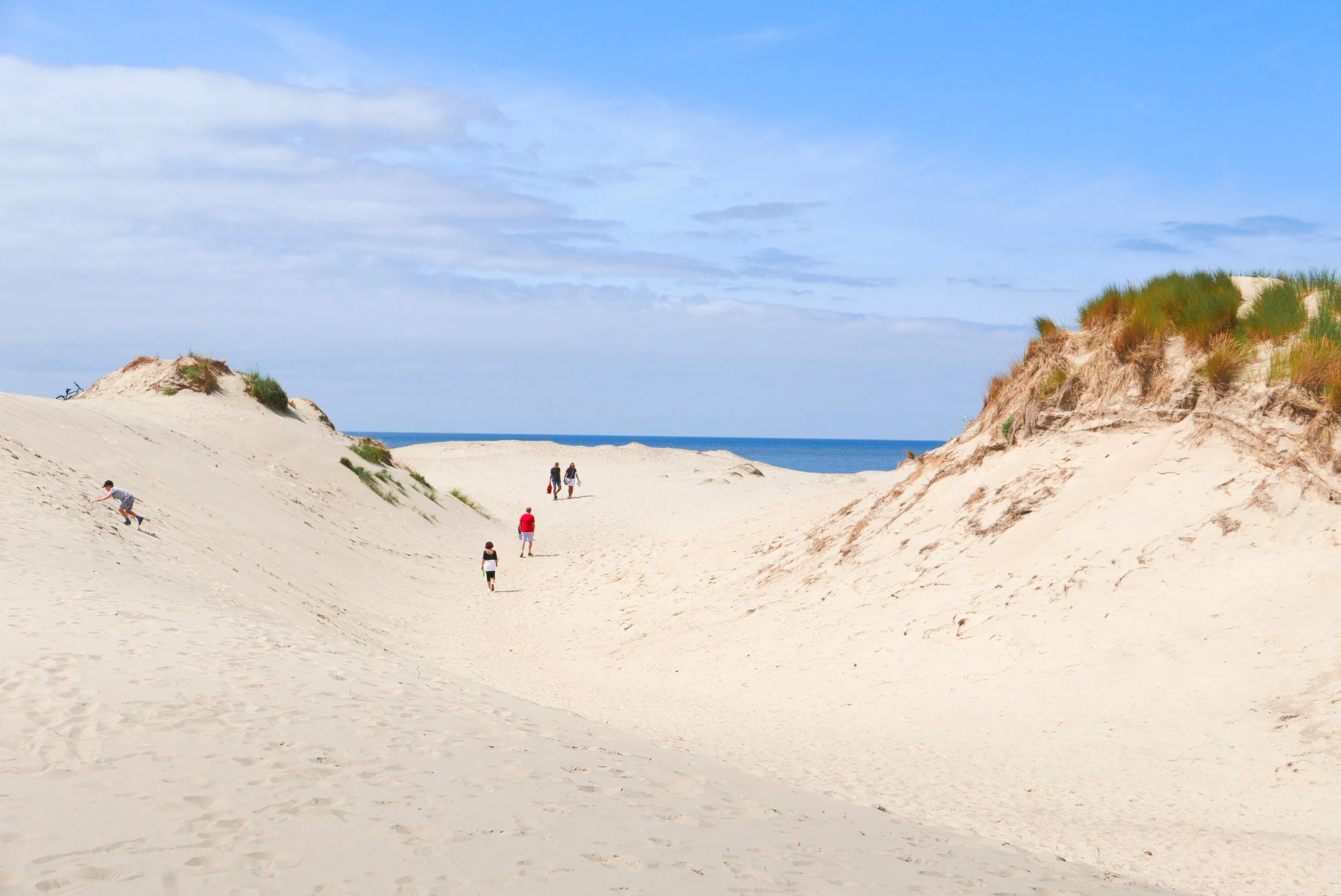 Les dunes et la plage de La Faute-sur-Mer